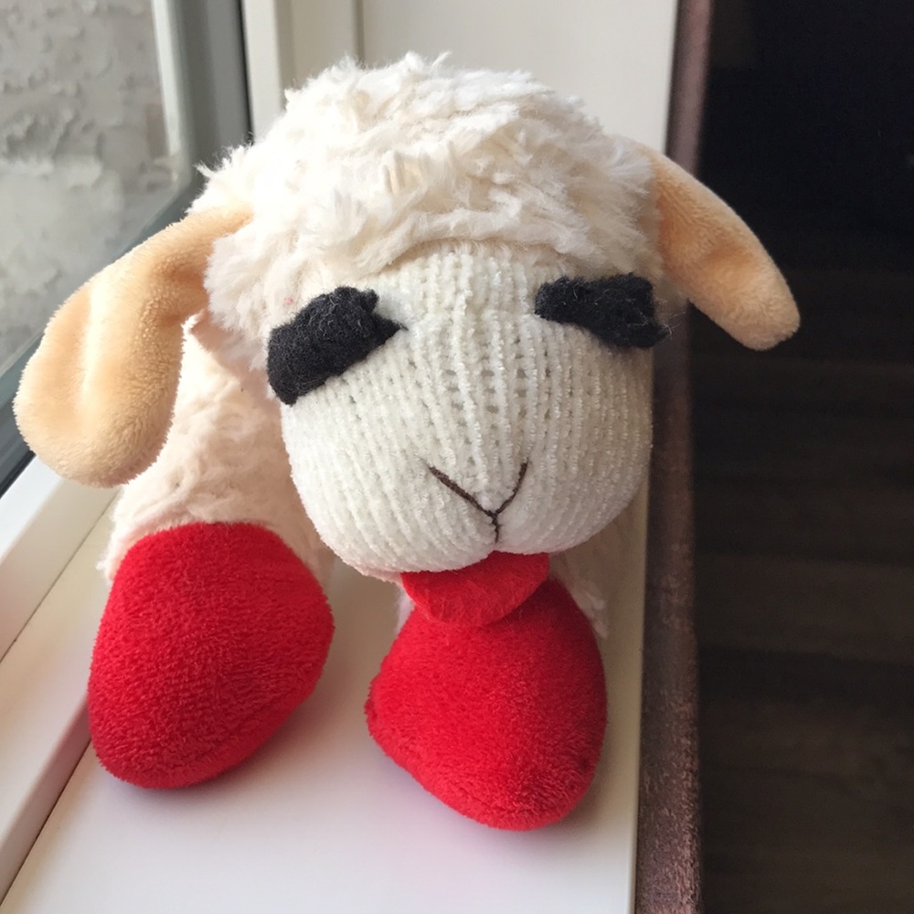 Mini Lamb Chop 🐑 - Picture 4 of 4
